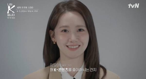 tvN '나는 K입니다' 캡처