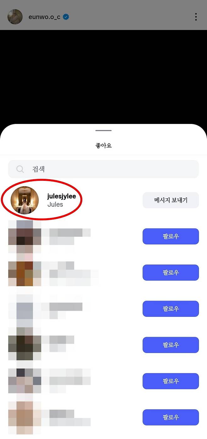 재벌 4세 이주영이 가수 겸 배우 차은우의 사과문에 '좋아요'를 누른 모습. / 사진=차은우 SNS