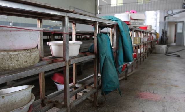 생산 시즌 막바지 작업할 원물이 없어 개점 휴업 상태가 된 통영 굴박신장. 흥겨운 트로트 메들리로 시끌벅적해야 할 작업장이 쥐 죽은 듯 고요하다. 굴 더미로 그득했던 작업대는 말끔히 치워졌다. 바닷물로 흥건해야 할 바닥도 바짝 말랐다. 김민진 기자