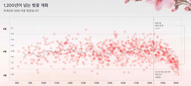 ▲지난 1200년 동안의 일본 교토 벚꽃 만개 시기 변화. 세로축은 3월, 4월, 5월을 나타내고, 가로축은 9세기부터 현재까지 연도를 나타낸다. (자료: 유엔환경계획(UNEP), 2022)