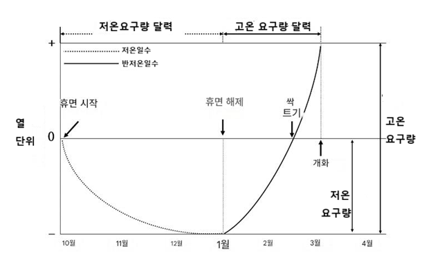 ▲벚나무의 개화일을 예측하기 위한 2단계 생물계절 모델의 개념. 꽃눈은 개화를 위해 충분히 긴 기간 동안 저온(Cr)과 고온(Hr)에 순차적으로 노출돼야 한다. (자료=기후연구, 2023)