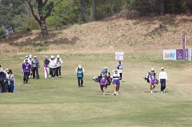 지난해 열린 KLPGA 투어 넥센 세인트나인 마스터즈 대회에서 페이트론(갤러리)이 로프 안을 걸으면서 선수들의 경기를 지켜보고 있다.