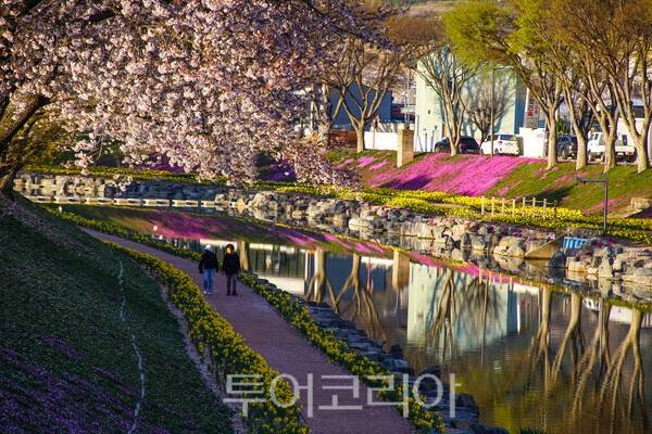 순창읍의 양지천변의 아름다운 모습 / 사진_투어코리아 유지훈 기자
