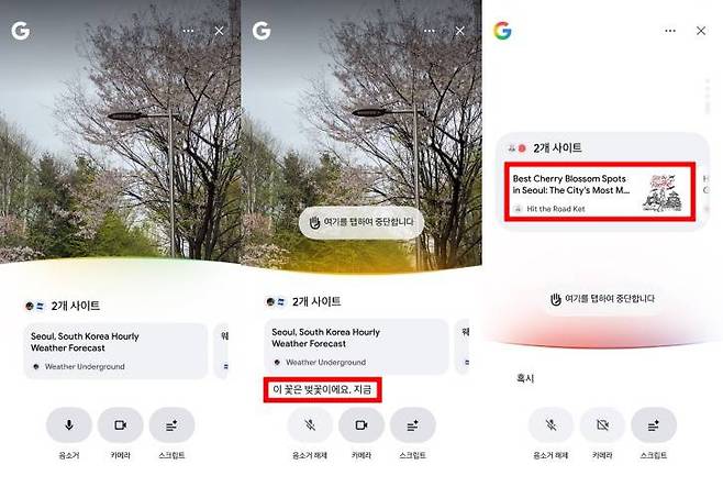 서치 라이브는 조명이 어둡거나 피사체가 작을 때 오인식률이 올라갔다 / 출처=IT동아