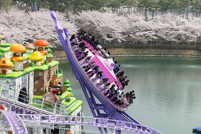 사지제공|롯데월드