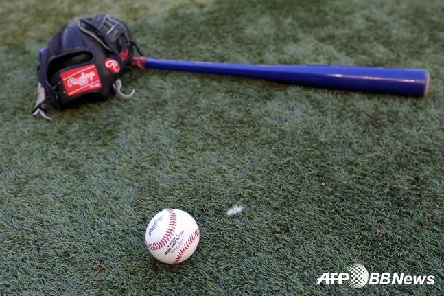 나무 배트. /AFPBBNews=뉴스1