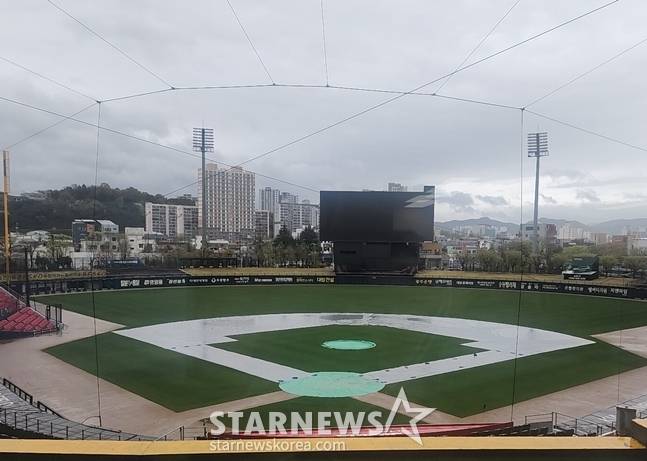 /사진=박수진 기자