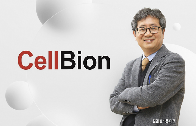 그래픽=홍연택 기자