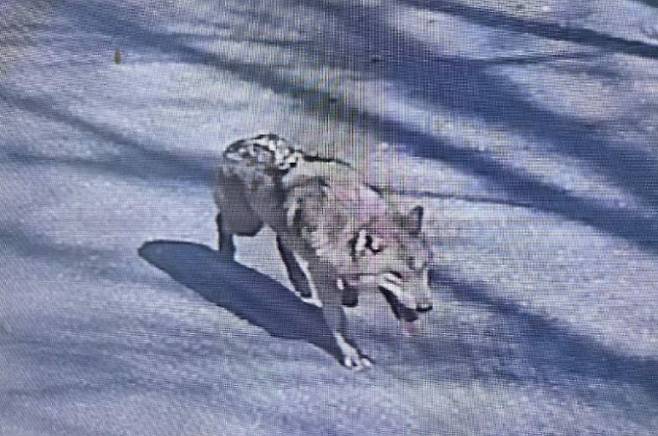 (사진=연합뉴스)