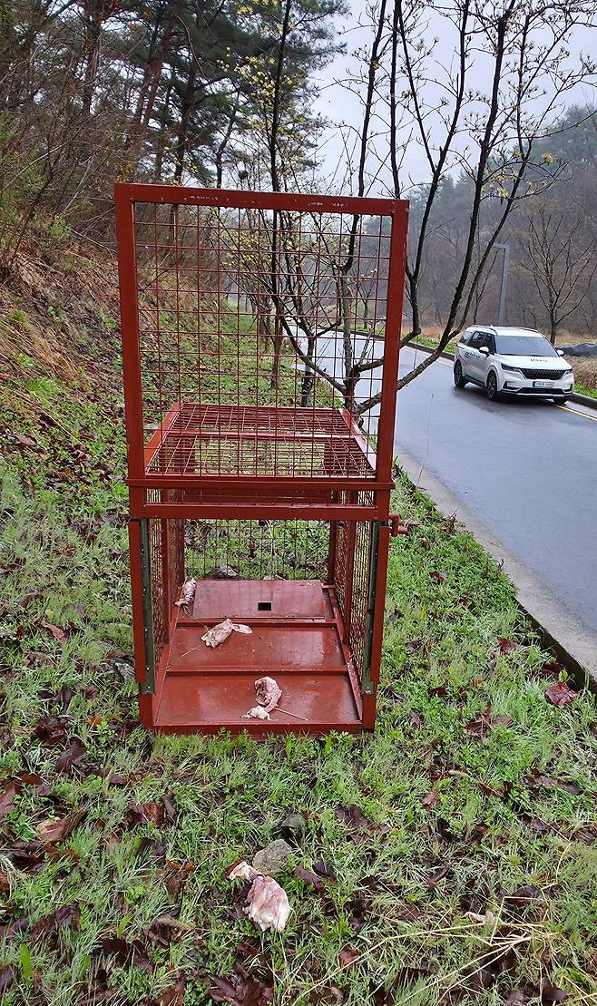 대전 중구 오월드에서 탈출한 늑대 ‘늑구’의 행방이 사흘째 묘연한 10일 수색이 장기화 조짐을 보이고 있다. 이날 오월드 주변 야산에 늑대를 생포하기위해 포획틀이 설치돼 있다. 김성태 객원기자