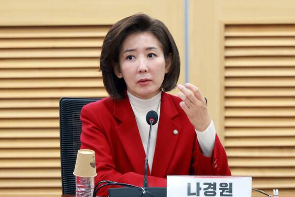 나경원 국민의힘 의원. 연합뉴스