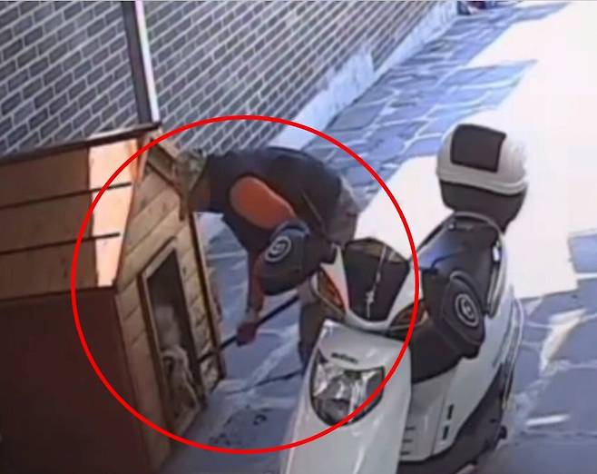 무단 침입해 반려견 끌고 가는 A씨. 동물구조단체 ‘유엄빠’ 제공