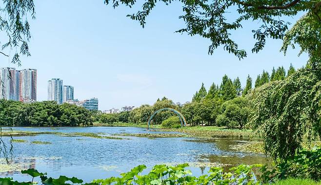 일산호수공원 풍경. 한국관광공사 제공