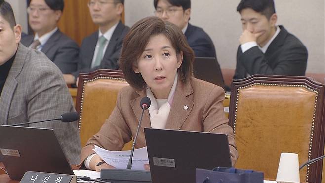 나경원 국민의힘 의원