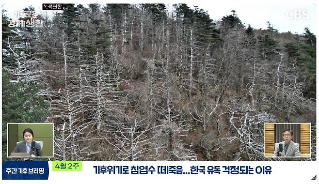 CBS 유튜브 경제연구실 캡처