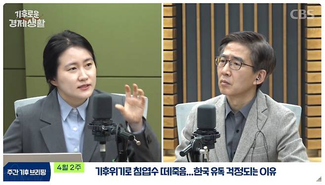 CBS 유튜브 경제연구실 캡처