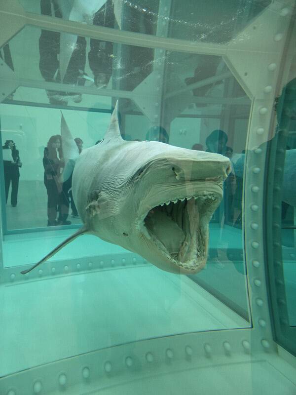 데미안 허스트 작 '살아 있는 자의 마음속에 있는 죽음의 육체적 불가능성' 일부분