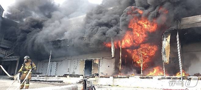 12일 오전 8시 25분쯤 전남 완도군 군외면 원동리의 한 냉동창고에서 불이 나 소방당국이 진화작업을 벌이고 있다. (전남소방본부 제공. 재판매 및 DB금지) 2026.4.12 ⓒ 뉴스1 이수민 기자