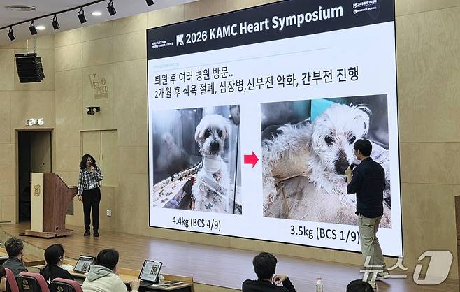고려동물메디컬센터 이정민 동물암센터장(오른쪽)과 엽경아 심장센터장이 12일 서울대 수의과대학 스콜필드홀에서 열린 심장 심포지엄에서 심장 질환 치료 케이스를 발표하고 있다. ⓒ 뉴스1 한송아 기자