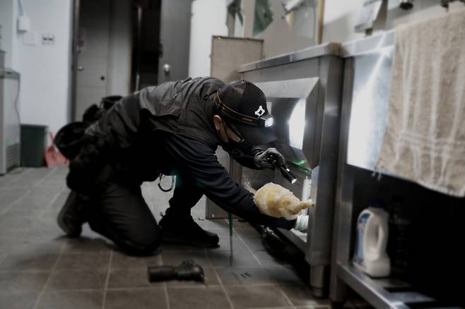 세이클 직원이 현장에 방문해 방제 작업을 실시하고 있다. (사진=세이클)
