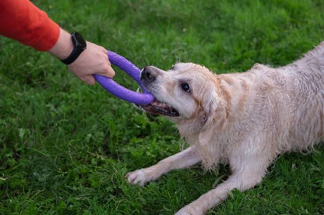 사진=게티이미지뱅크