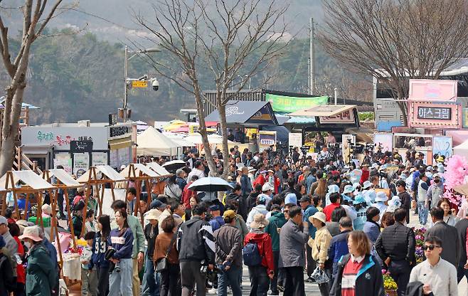 사람 붐비는 임실 벚꽃축제 현장. 임실군 제공