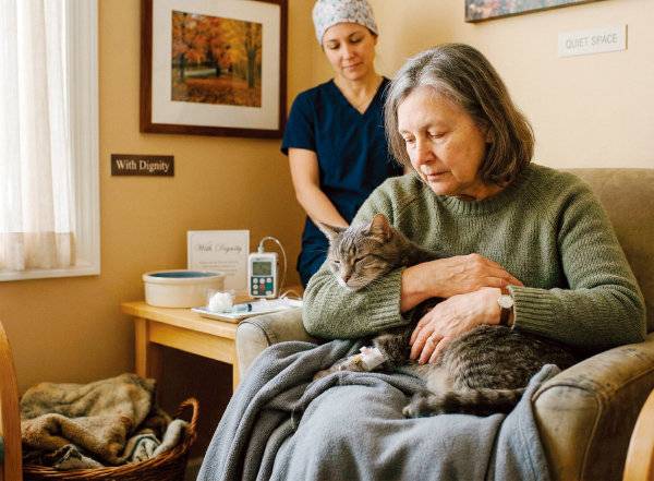 반려동물의 안락사를 결정할 땐 ‘HHHHHMM’과 ‘OSU(Ohio State University) 평가표’를 활용할 수 있다. 제미나이 생성 이미지