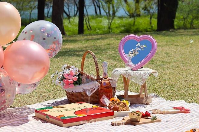 남이섬 벗(友)꽃놀자' / 사진-트립닷컴