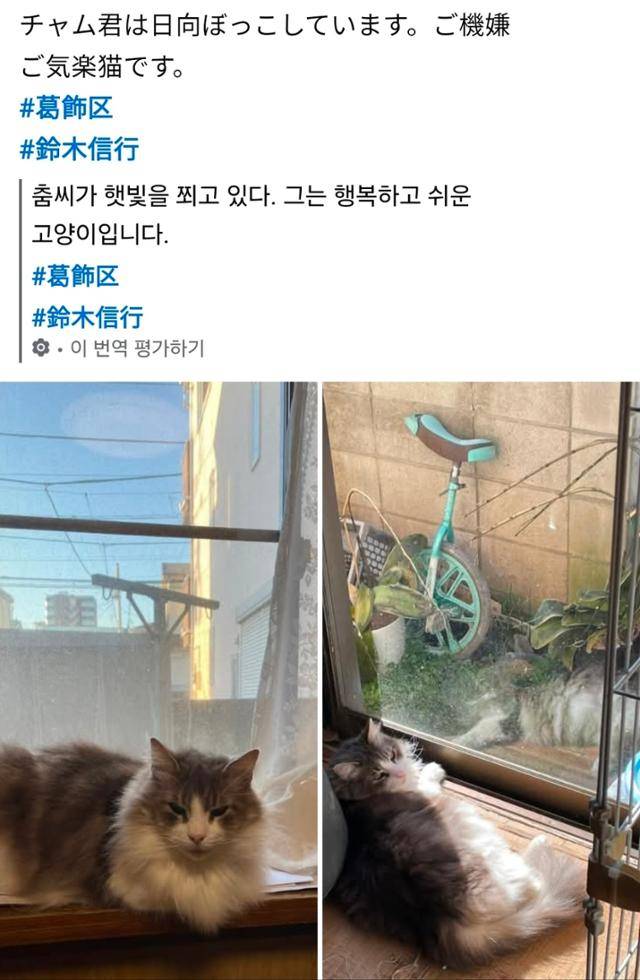 스즈키 노부유키가 8일 재판에 불출석하고 사회관계망서비스에 올린 게시물. 스즈키 SNS 캡처
