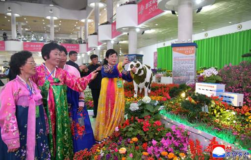 북한이 4월의 명절을 맞아 ‘더 아름답게, 더 향기롭게’ 주제로 지난 13일 평양 옥류전시관에서 화초축전-2026을 개막했다고 조선중앙통신이 14일 보도했다. 조선중앙통신·연합뉴스