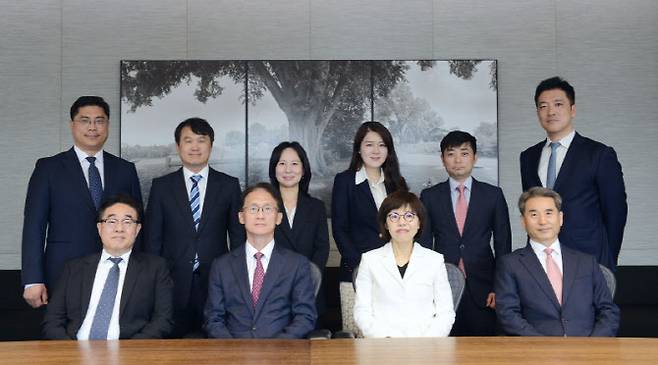 법무법인 태평양 택스솔루션센터. (앞줄 왼쪽부터 반시계 방향으로) 최광백 고문, 임재현 고문(센터장), 조일영 변호사(센터장), 오정의 고문, 장성두 변호사, 권용진 회계사, 방진영 변호사, 박인혜 변호사, 박영성 세무사, 이주윤 전문위원.(사진=태평양)