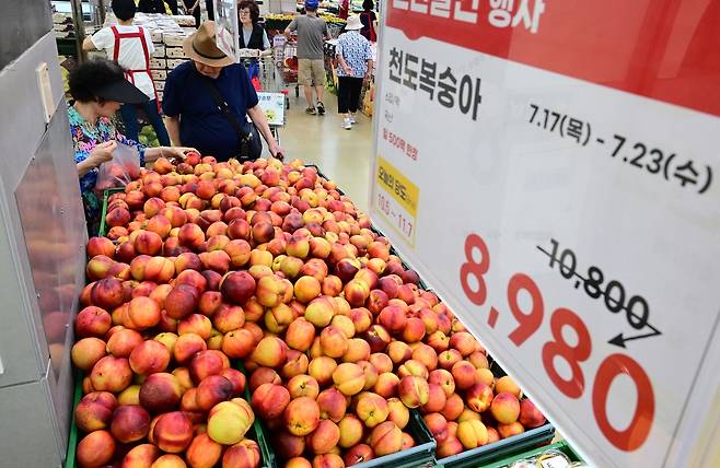 서울 서초구 하나로마트 양재점에서 시민들이 과일을 고르고 있다. 이상섭 기자