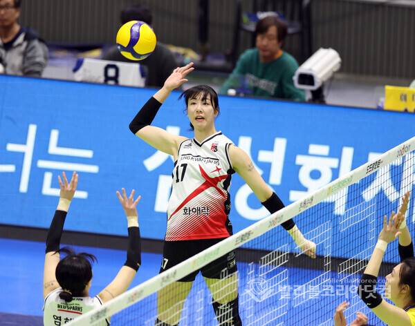 정관장 정호영.