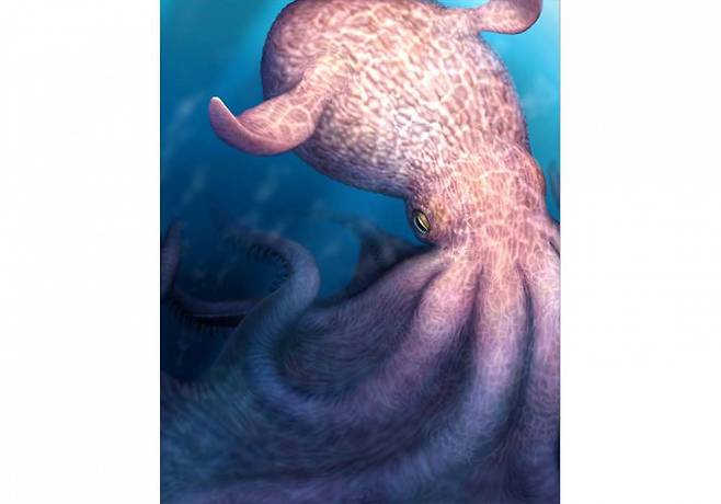백악기 후기에 살던 거대한 지느러미문어를 상상해 그린 그림. 일본 홋카이도대 제공