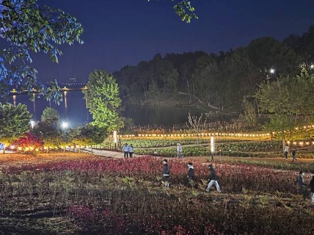 1일 익산 신흥공원 야간 전경./사진=송승욱 기자