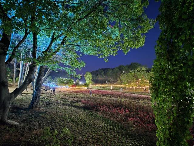 1일 익산 신흥공원 야간 전경./사진=송승욱 기자