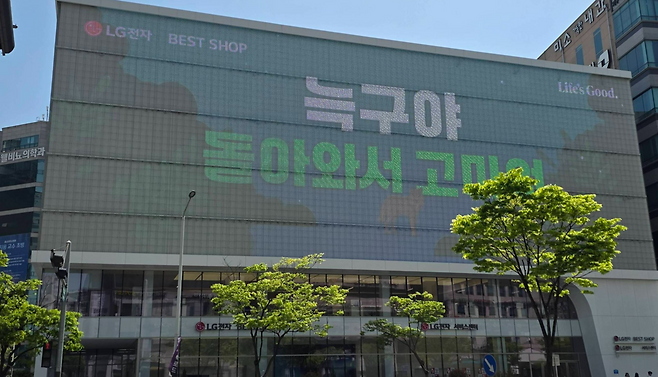 지난 4월 18일 대전 둔산동 한 건물 전광판에 “늑구야 돌아와서 고마워”라고 표시돼 있다. 연합뉴스