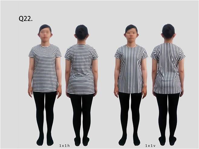 선과 여백이 각가 1㎝인 1X1 줄무늬 상의인 경우, 뒤에서 볼 때는 세로 줄무늬가 더 날씬하다고 답한 비율이 75.2%였다./i-Perception