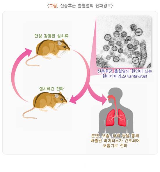 (출처=질병관리청 국가건강정보포털 캡처)