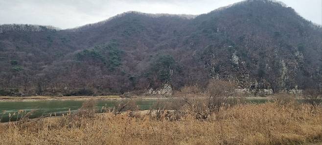 금강수목원을 바라보고 있느 금강 청벽 일대 풍경. (사진=이희택 기자)