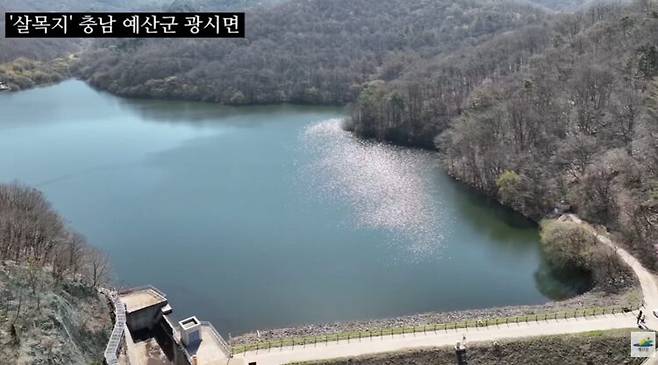 영화 이미지와 달리 낮의 살목지는 황새가 서식하는 조용한 생태공간이다. 사진=예산군 유튜브 영상 캡처