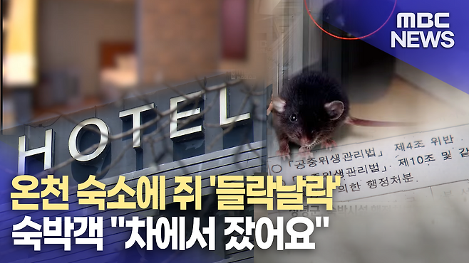 뉴스 관련 사진