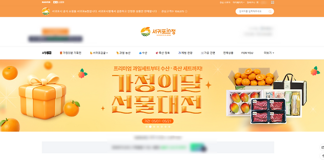 서귀포in정