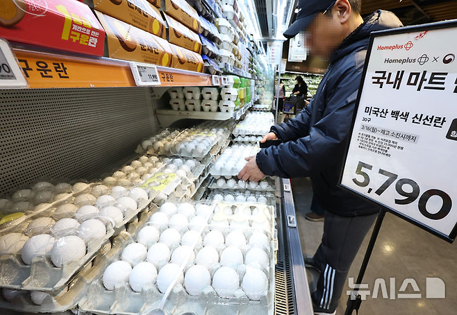 지난 3월 한 홈플러스 매장에 미국산 계란이 진열되어 있다. 뉴시스