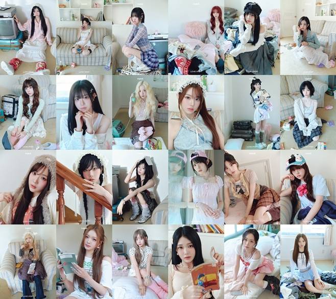 티브이데일리 포토
