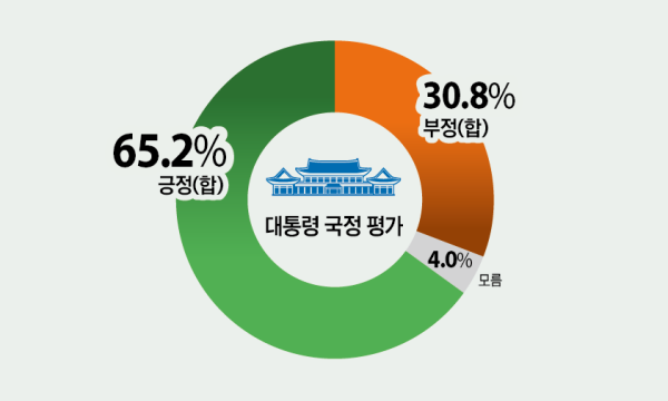 6·3 지방선거 하남시민 대통령 국정 평가. 그래픽 유동수 화백