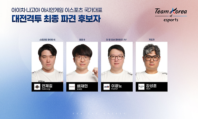 대전격투 종목 최종 후보(이미지=협회 제공).
