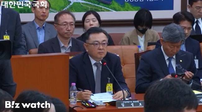 김성보 서울시장 권한대행이 20일 열린 국토위 전체회의에서 발언하고 있다./사진=국회 인터넷의사중계시스템 갈무리