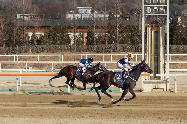 스피드영. 사진 | 한국마사회