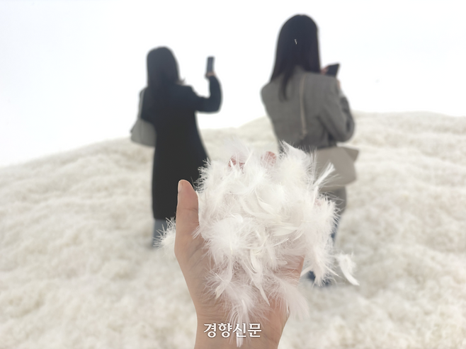 ‘깃털의 방’ 내부